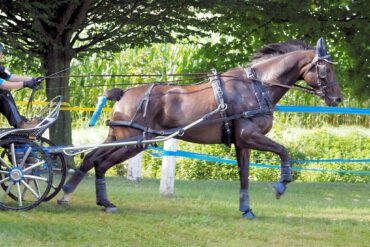 Teil 22 – Intervall- und Ausdauertraining