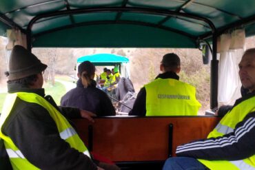 Teil 8 – Kutschenführerschein B (Gewerblich)