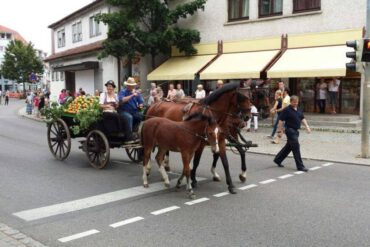 Teil 9 – Fahrsport bietet Vielfalt